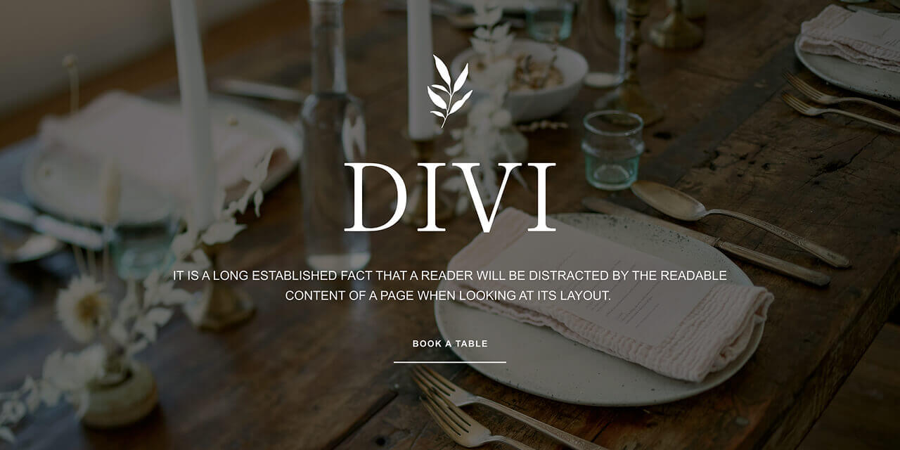 web-design-agency-24